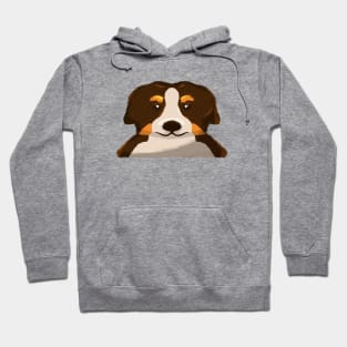 Bornese Mountain Dog Hoodie